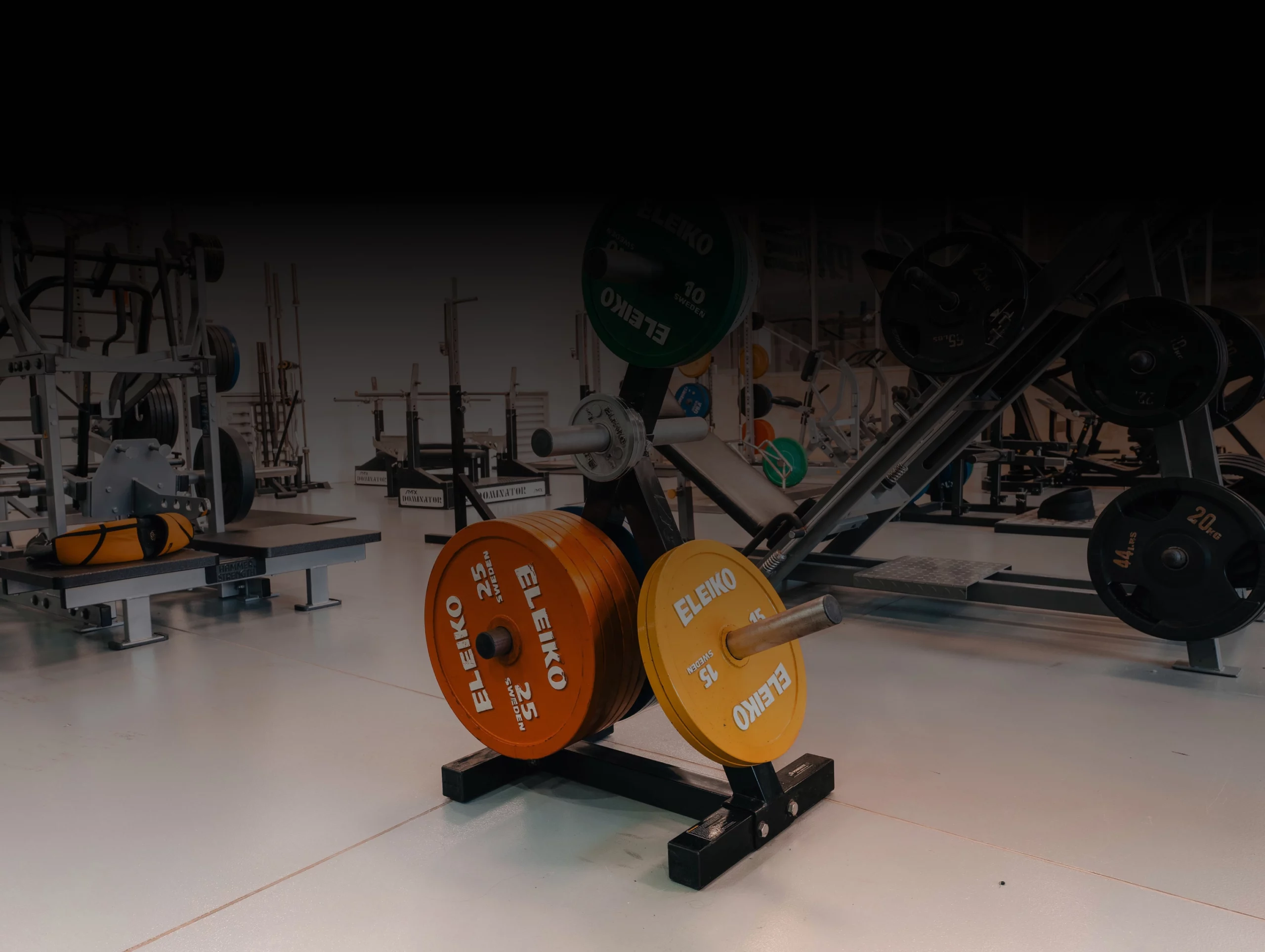Ascend-rehab-and-performance-about-us-our-facilities-Gym-Floor
